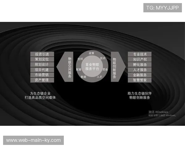 产业链伙伴正从单一执行迈向全案咨询 扩展品牌长期传播价值 产业链伙伴正从单一执行迈向全案咨询 扩展品牌长期传播价值